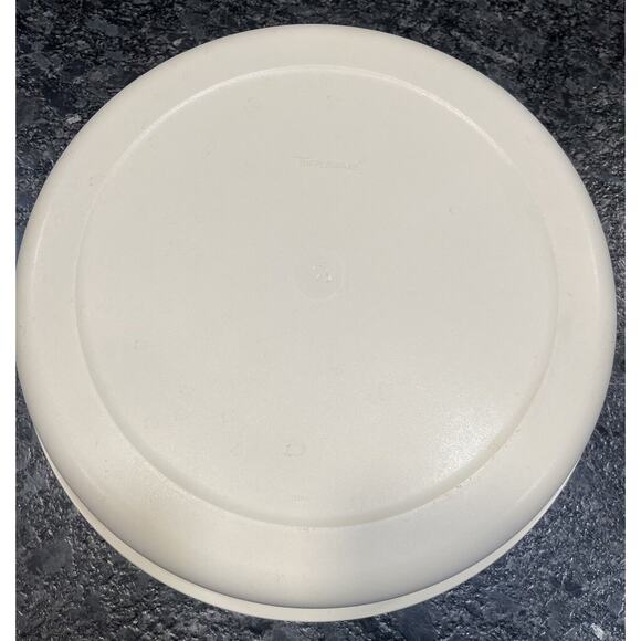 Vintage Tupperware Divided Vegetable Relish Chip & Dip Serving Tray & Lid - Picture 2 of 9